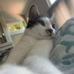 Meet your Posher, Eva